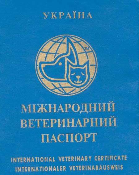 91c316252d173f992db35f22e0d5f8cc