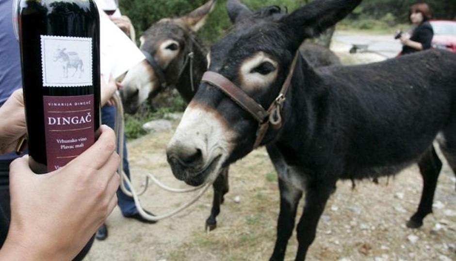 dingac-donkey