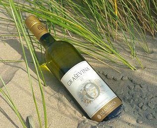 wine-grasevina-g