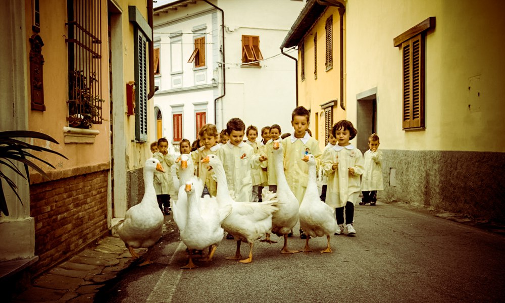 Duck day