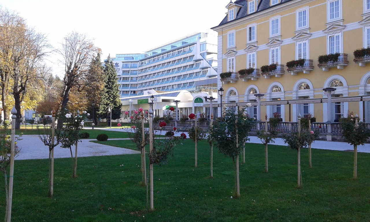 8-rogaska