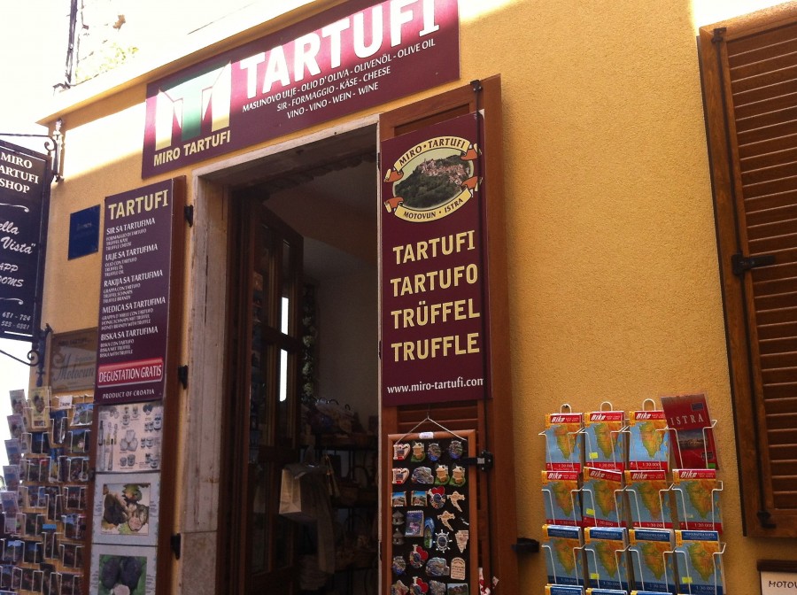 motovun