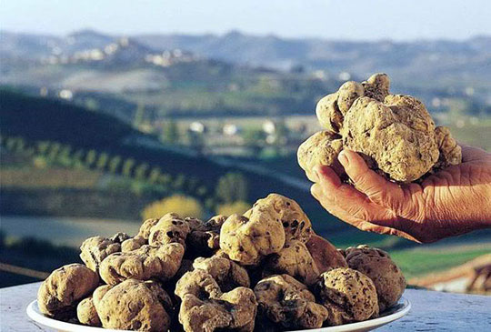 tartufo