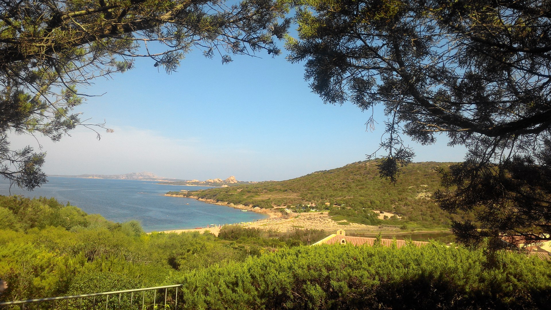 view1