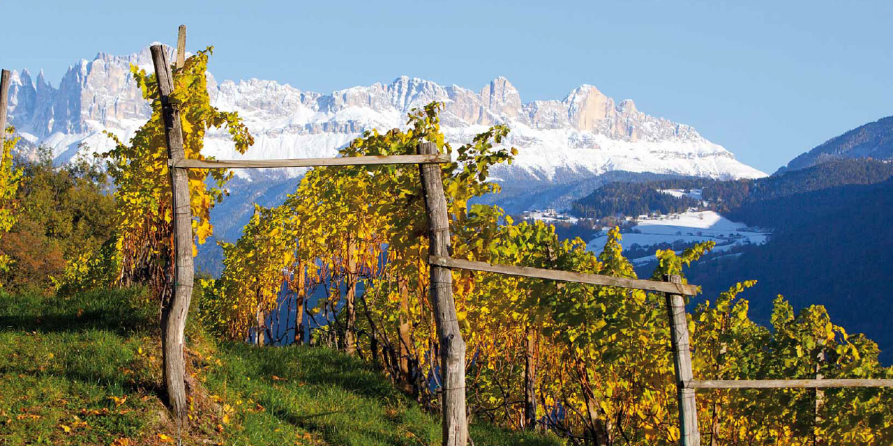 wine-italy-01