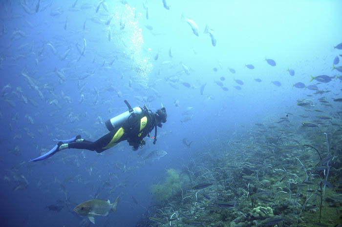 Rabac-23valamar-bellevue-hotel-and-residence-diving