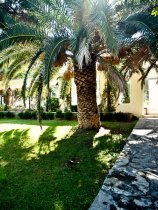 Waterman Supetrus Resort (17)