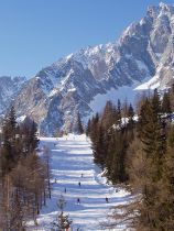 Курмайор (11)