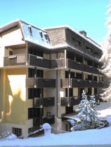 Hotel Des Alpes (2)