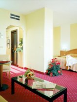 Hotel Michelangelo (5)