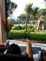 Horse Country Resort (26)