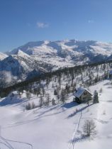 Пьемонт (6)