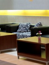 Sentido Таrа (5)