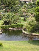 Le Palme (20)
