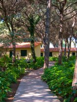 Horse Country Resort (8)