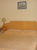 Sajo (6)