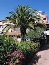 Colonna Beach Residence (2)