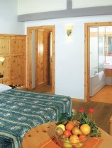 Gran Chalet Soreghes (6)
