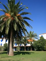 Slovenska Plaza (13)