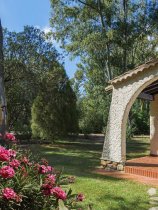 Is Morus Relais (17)