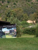Is Morus Relais (29)
