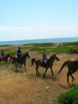 Horse Country Resort (27)