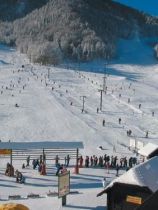 Краньска Гора (9)