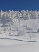 Пьемонт (7)
