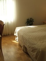 Bohinj (13)