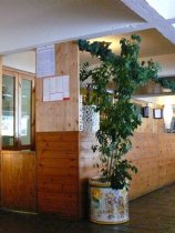 Residence Marilleva 1400 (1)