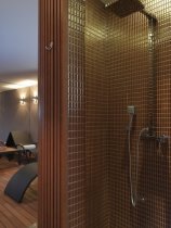 BW Premier Hotel Slon (9)
