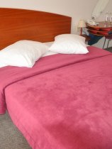 Tartina (10)