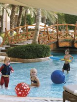The Ritz-Carlton (36)