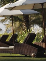The Ritz-Carlton (45)
