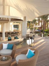 The Ritz-Carlton (19)