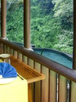 Maya Ubud Resort & Spa (14)