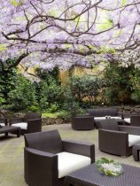 Sheraton Diana Majestic (20)