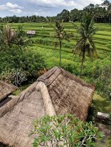 Maya Ubud Resort & Spa (7)