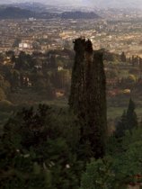 Villa San Michele (2)