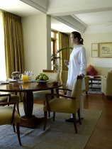 Ananda in the Himalayas (9)