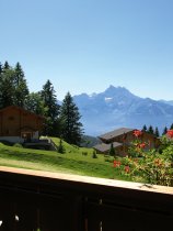 Chalet RoyAlp Hotel & Spa (56)