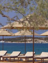 Amanzoe (19)
