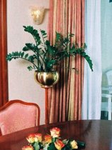 Grand Hotel Bernardin (7)