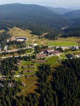 Planja / Rogla (13)