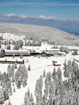 Planja / Rogla (14)
