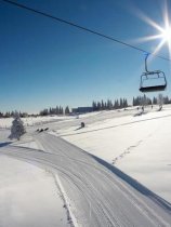Planja / Rogla (15)