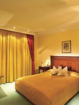 The Hotel Luna Mondschein (6)