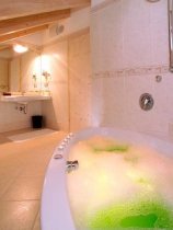 The Hotel Luna Mondschein (14)
