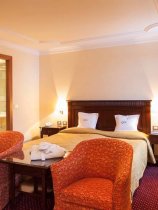 The Hotel Luna Mondschein (5)