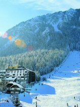 Alpina ski (1)